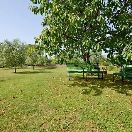 Karolina - Oasis Pula