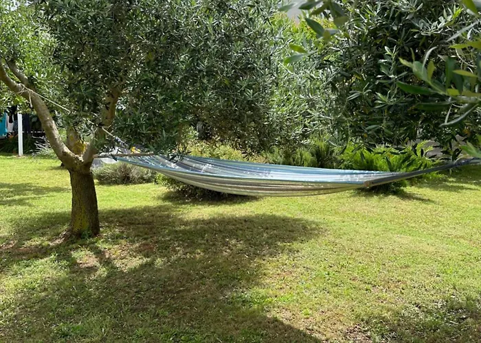 Karolina - Oasis * Pula