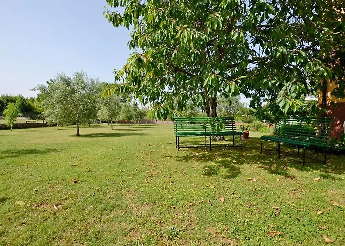 Karolina - Oasis Pula